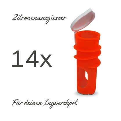 Toepferart Keramikreiben Swiss Edition - Schmunzel Verschenk-Set 14für8 portofrei