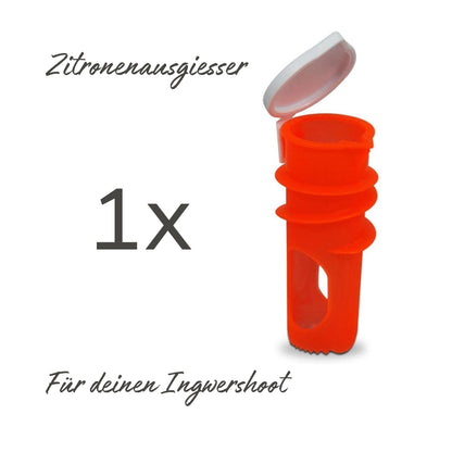 Toepferart Keramikreibe Swiss Edition - Swiss Edition Set Köbi portofrei