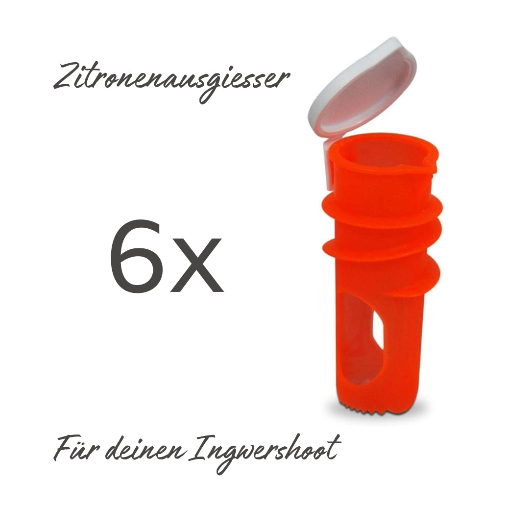 Toepferart Keramikreiben Swiss Edition - Swiss Edition-Verschenk-Set 6für4 portofrei